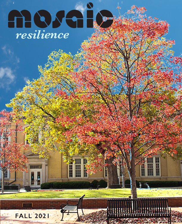 Resilience Cover