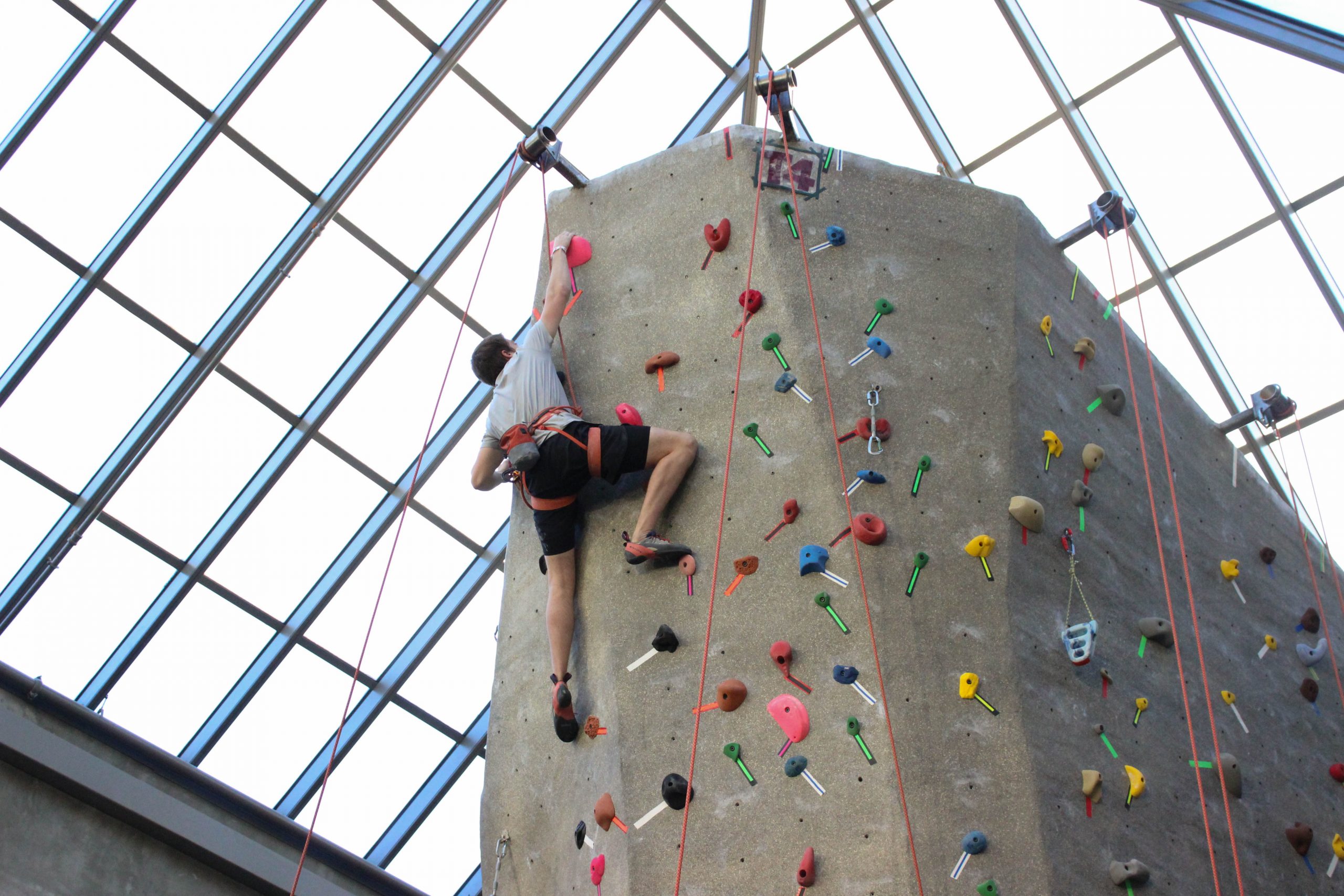 Rock Climbing Competition
