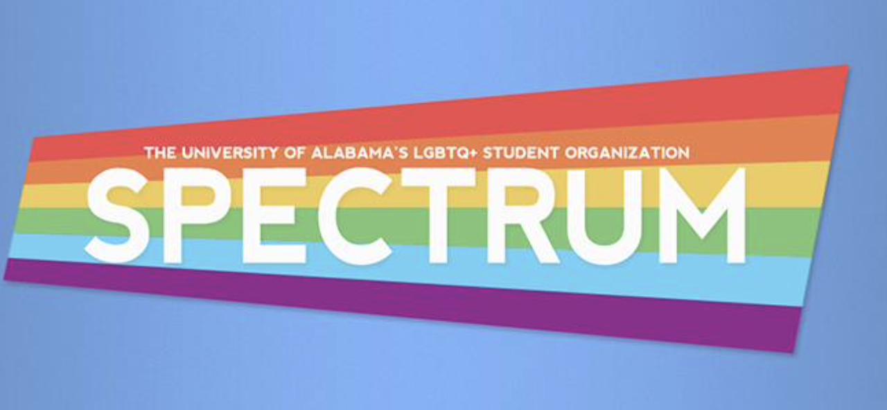 Spectrum: DEI Organization Spotlight