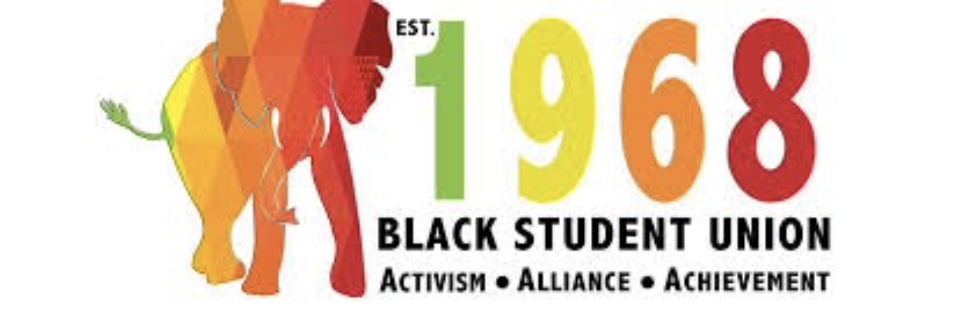 Black Student Union: DEI Organization Spotlight
