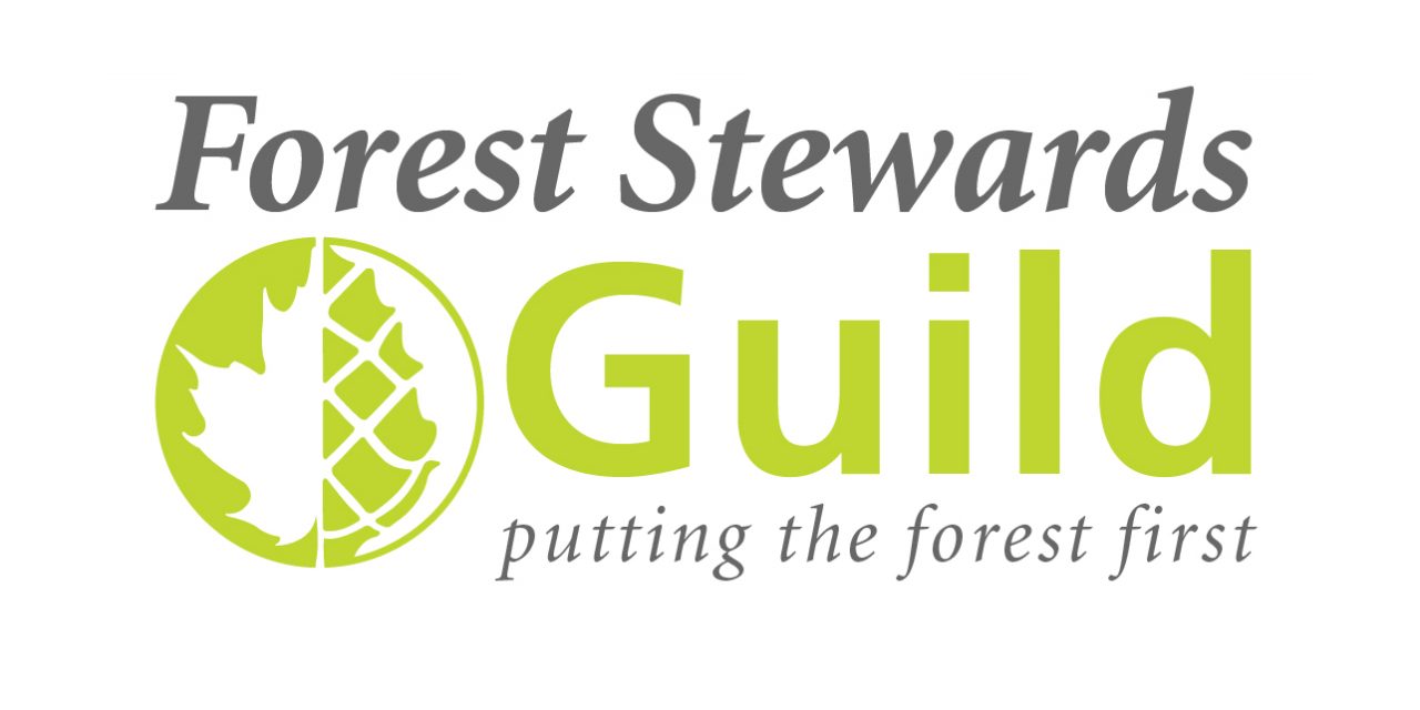 Forest Stewards Guild: Organization Spotlight