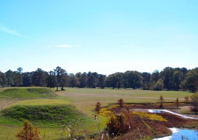 Moundville From Top of Mound P