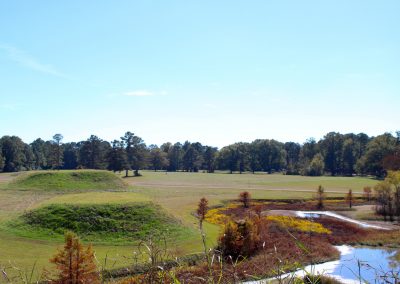 View of Moundville From Top of Mound P